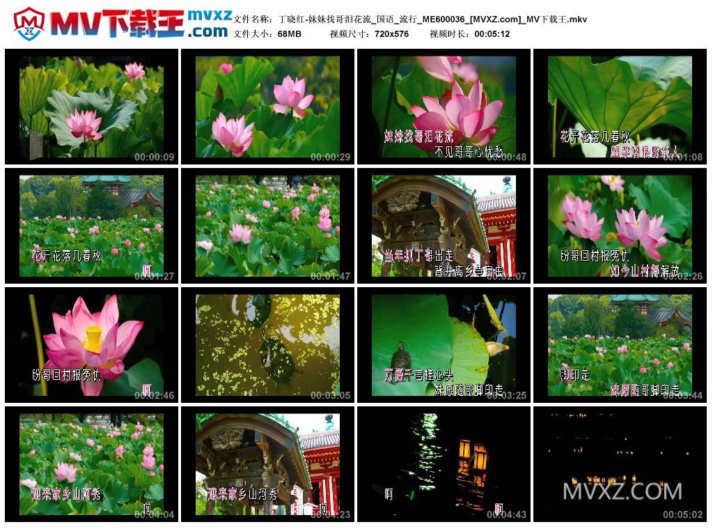 丁晓红-妹妹找哥泪花流_国语_流行_ME600036